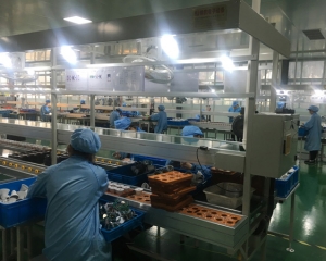 非标自动化生产线生产厂家